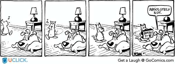 citizendog